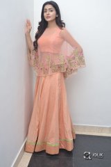 Avantika Mishra At Vaishakham Movie Success meet